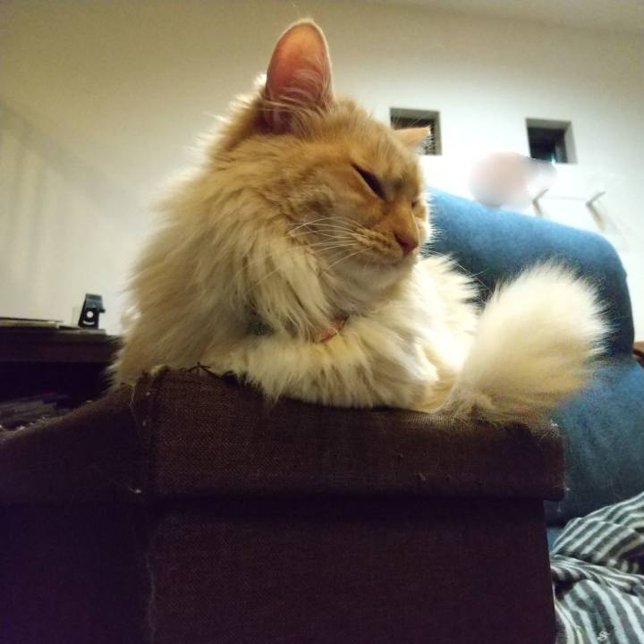 D208a612 cfb4 44fb 8e9d 704b577030b7 1650374345025