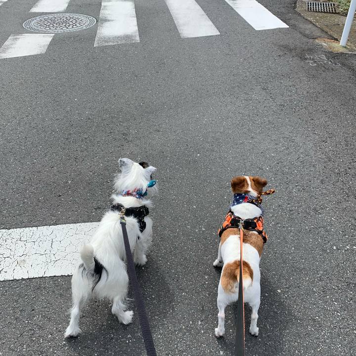 D208b48e 5161 4ff2 a3dd 670ea28950f8 1628293592103