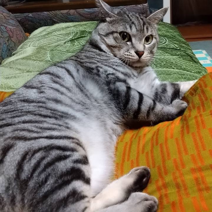 D208d3a5 a91b 4a83 8cd7 3e77012870a1 1664366405939