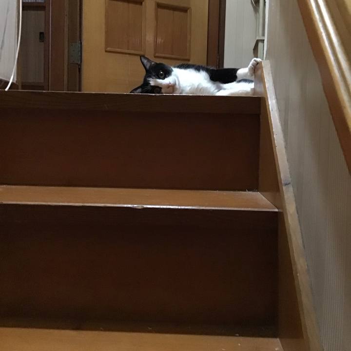 D208ed21 de2f 405d b851 bb06e792932e 1723197537493