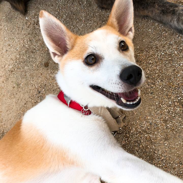 D20905af b764 452b 94d6 2337c172451a 1595163239289