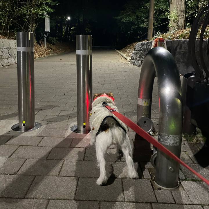 D2090bee 65a1 478a 8549 9fe8c9f86006 1739622104841