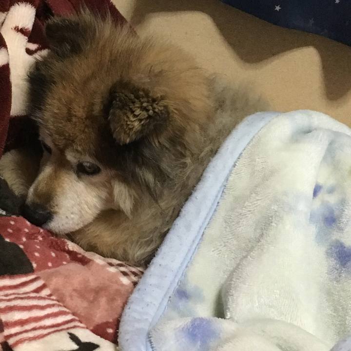 D2091988 b2af 48e9 83cf ee02c01bad8e 1609830272749