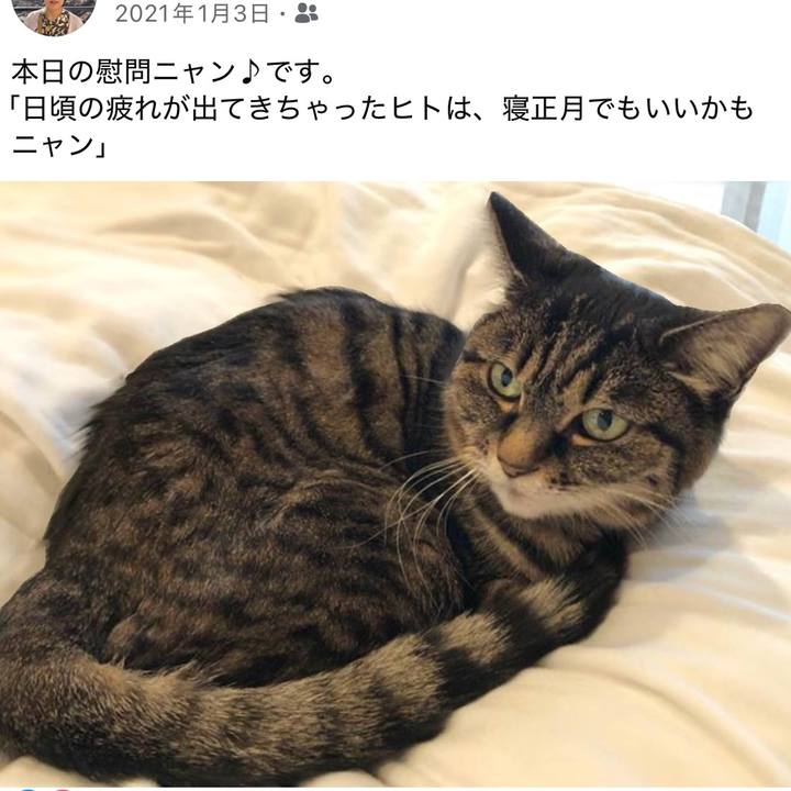 D209a1e0 d768 4e8d b994 fad80c3788a2 1767435602049