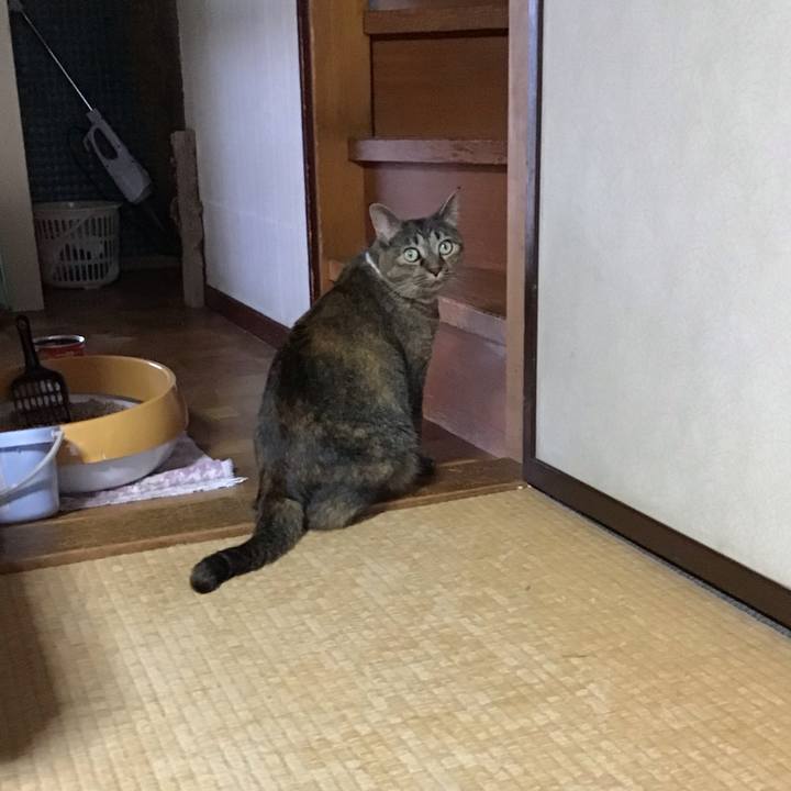 D209bb14 2505 44be b220 43ad8736e0e7 1726651253331