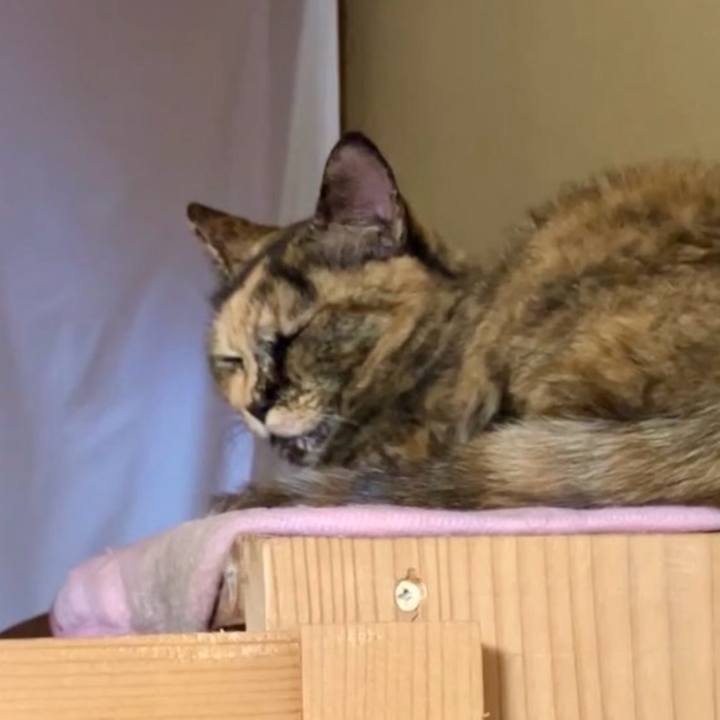 D209d1ef 4850 4338 8b61 1fa02057ef9b 1733630590633