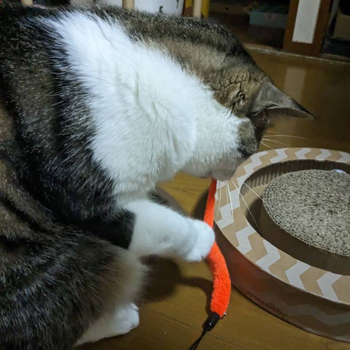 D209d8d8 b1b7 400d ae77 e39f3ca61799 1682814502503