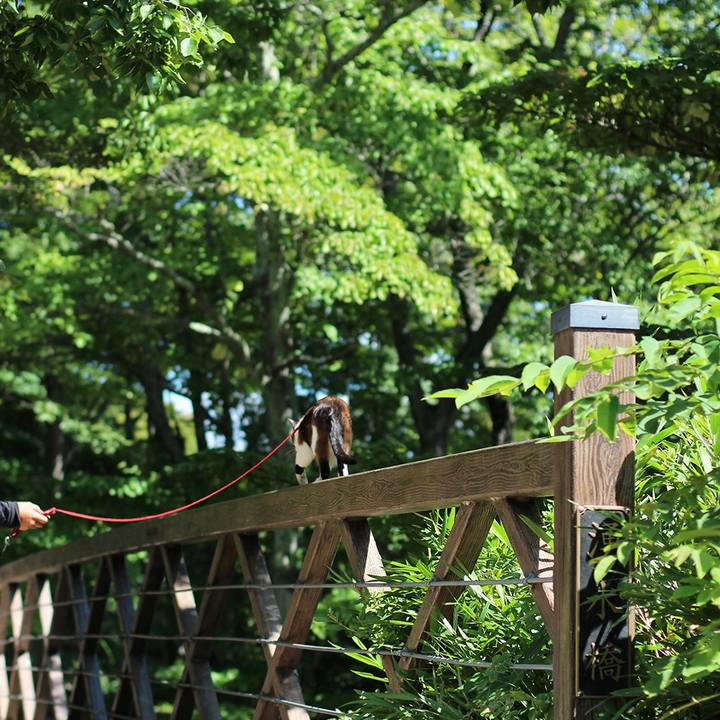 D20a08ee 9f9a 479f ac94 c90cd502f449 1557618361410