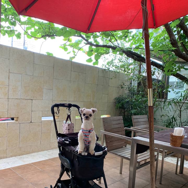 D20a13fb 5ceb 40c1 aa0b 49f6fad8bb9c 1562405609824