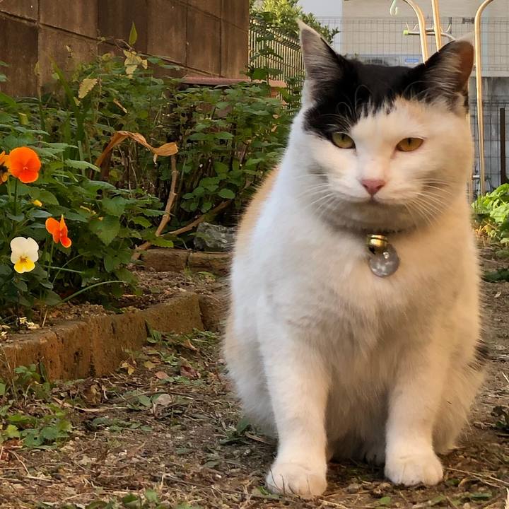 D20a748e fce9 4d5e 80e8 8fb0690260c1 1608421930451