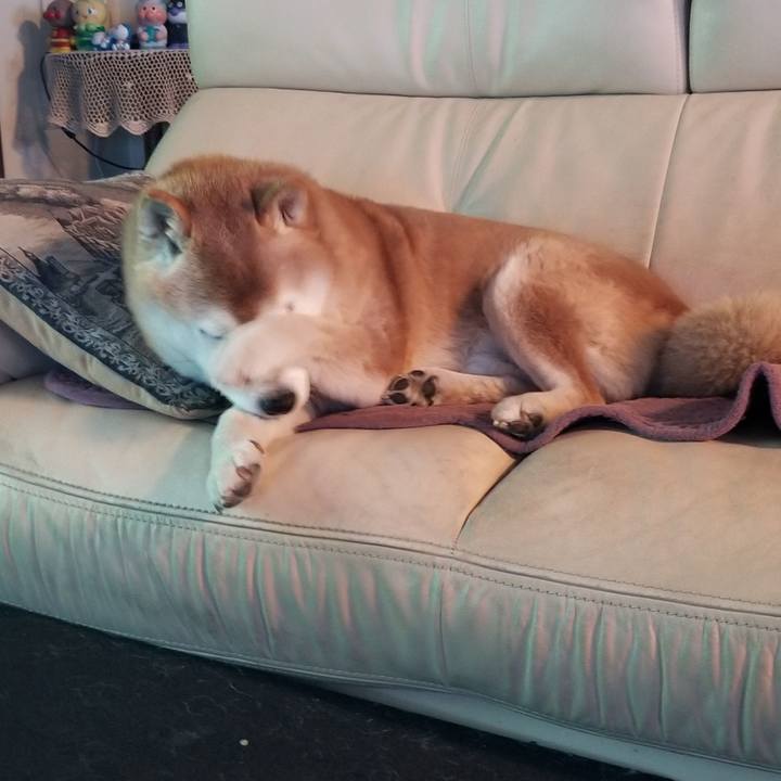 D20a96c4 22f8 48b0 aba1 3403f4a8094d 1740299334145