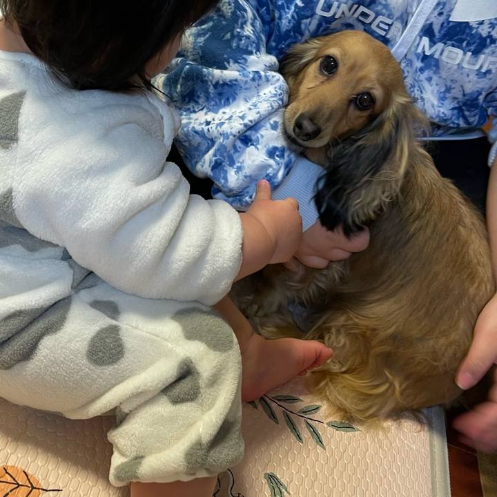 D20aed7f 648a 4168 a04f 4837d9efd5da 1768142542763