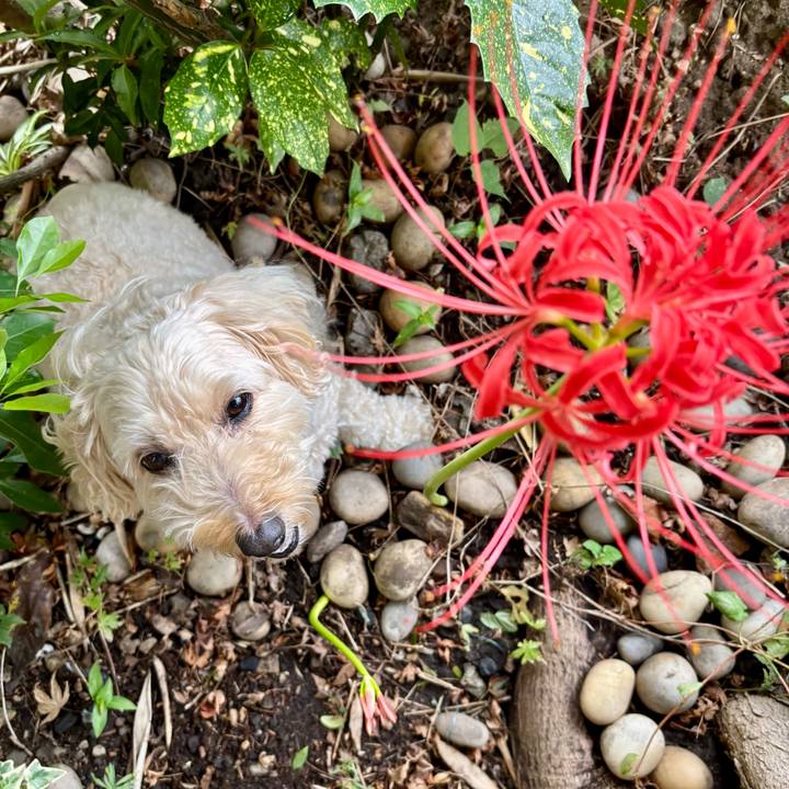 D20af5bc f475 4791 b0c8 c48e0ac93b81 1759027836256