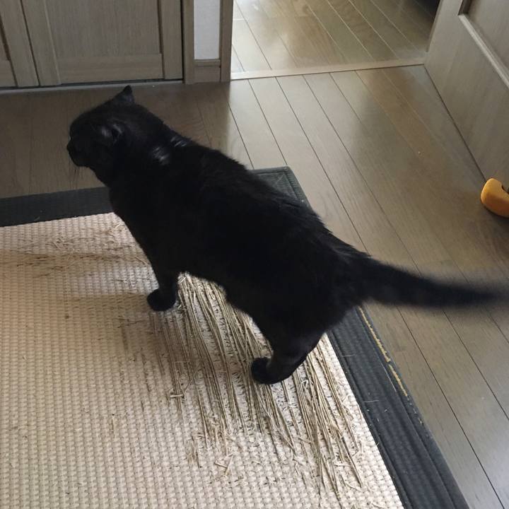 D20b5fd7 c58a 4ef8 b15b 2e690812bc6e 1522451592056