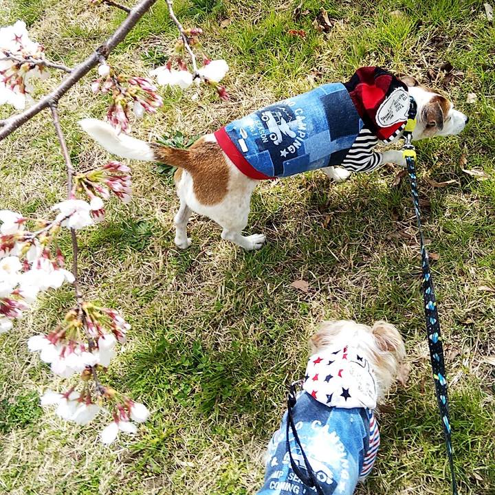 D20b662d 252c 4a74 81f0 0bb0f55ad436 1554012742899