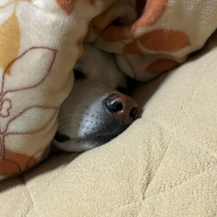 D20ba28c ba9a 47d5 98c1 a6f2966e9f2c 1705587979579