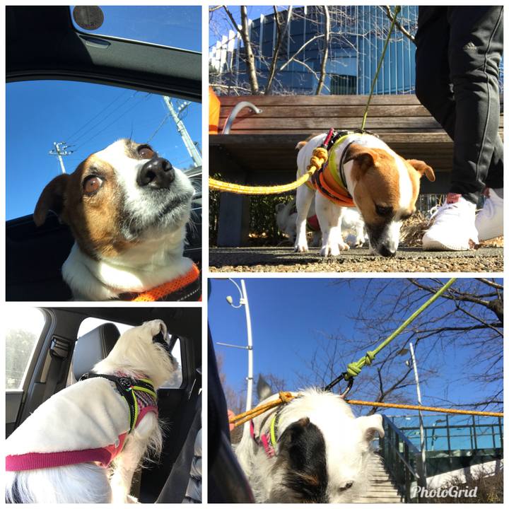 D20bc981 a53d 4ed2 b54a 3cdf47796775 1517039770475