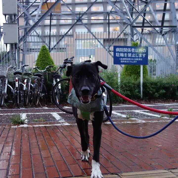 D20bec5b 7c1a 490f ab97 12434e5eb44a 1590493891886