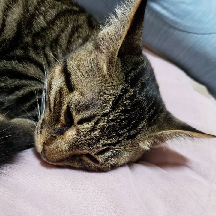 D20bf2f2 4919 42f8 8469 5861be94da7f 1541830768259