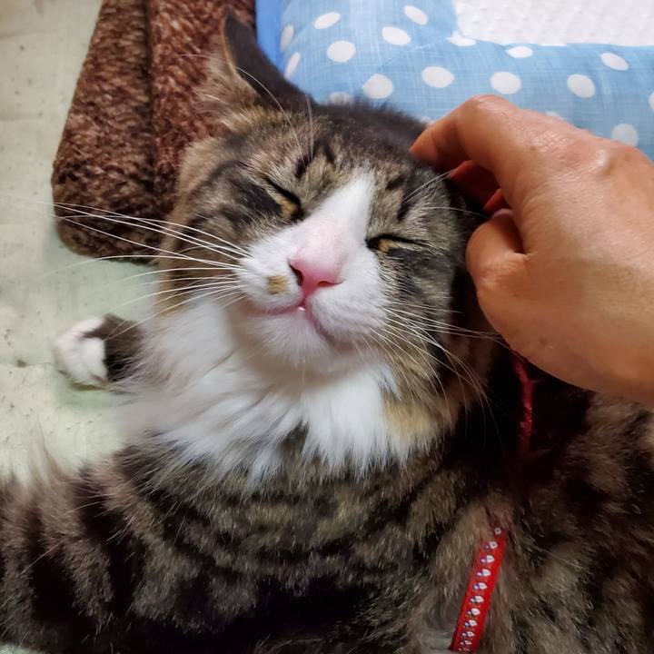 D20c0a3d 626b 4390 94ef 27bb21fd5a57 1689752448592