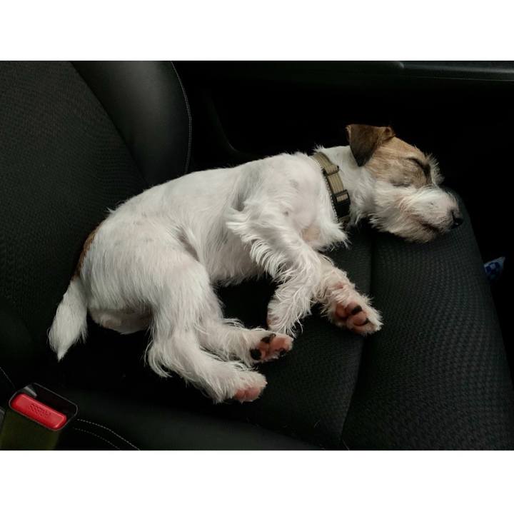 D20c0a5d b555 4ece a171 2def72f5a01a 1603016490919