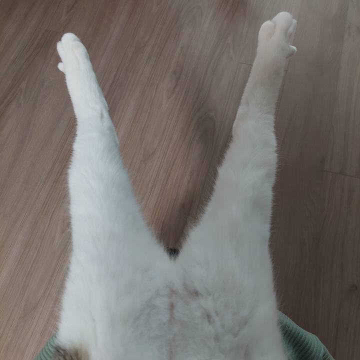 D20c114d 749a 40b4 803d 9528e1cbdf73 1770793450774