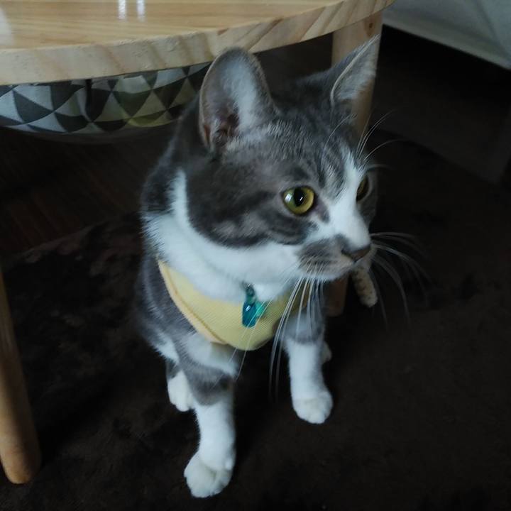 D20c29b0 dfc7 4de2 b58f 07f70f5b9ab6 1584916328807