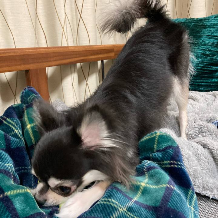 D20c3929 da81 4c04 8174 2be5d352322a 1644157918186