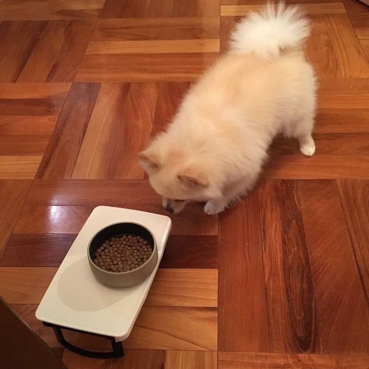 D20c5714 0b56 46df b0d4 c7481a08e582 1546991501015