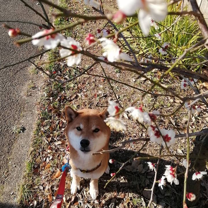 D20ce82e 227d 4e25 884d 85861256b254 1582071524538