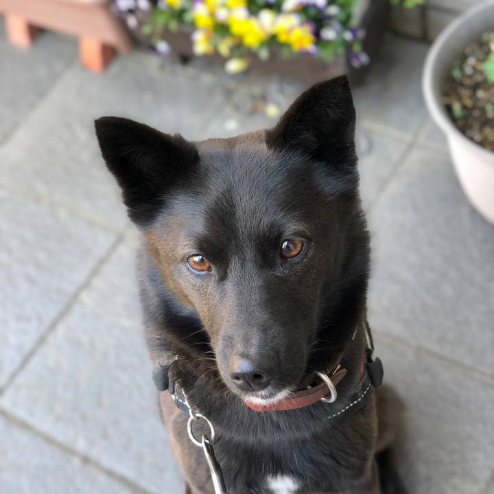 D20cea69 bb0b 4bab a416 1bb2529d28a2 1553381474006