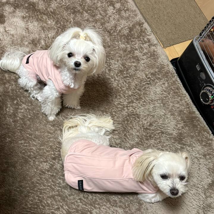 D20d4624 dac3 4f8f aa3e ab4d4e66ca02 1765181936787