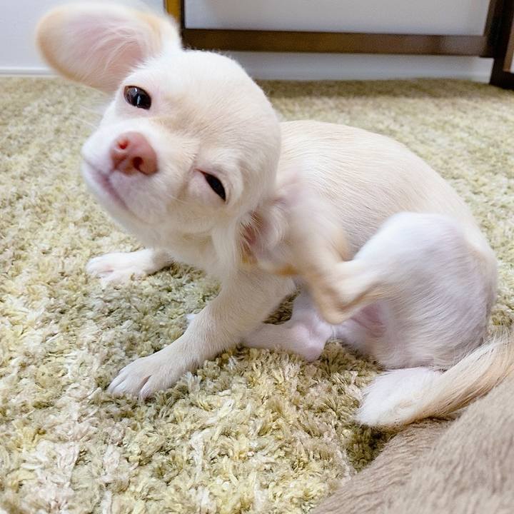 D20dcf4c 6dac 44f0 81ea 57d79dd46d9b 1593496071121