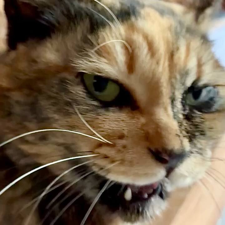 D20dffde 5277 4d5b 8ce7 e0c53455bbd5 1773288126414