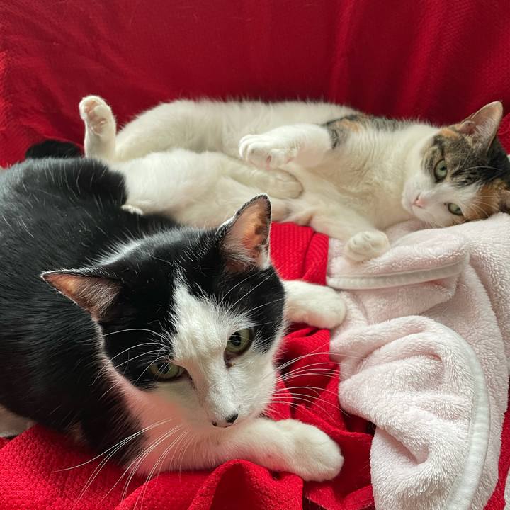 D20e3d9c b5b4 4a45 84ba 371146bdaeac 1615855276388