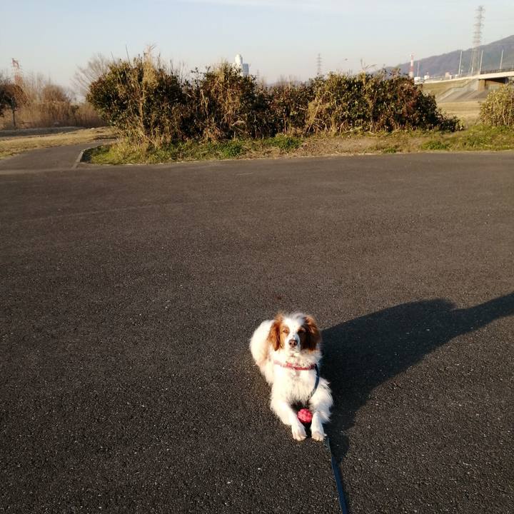 D20e49ea 928b 44e5 bc25 4c8c45ce2396 1582112511743