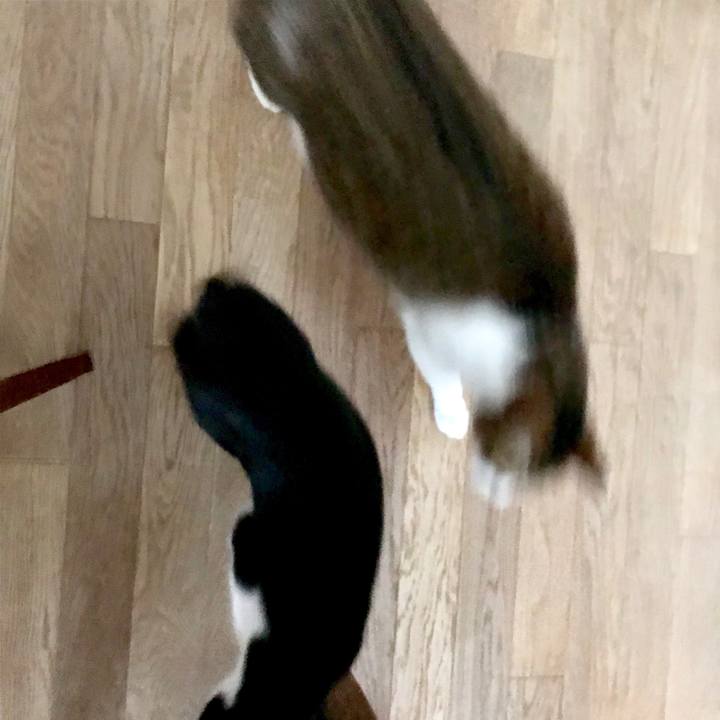 D20ea989 2a93 4b15 9128 3e46a9d4ccbf 1554265684255