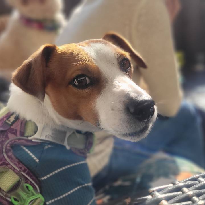 D20eb4ae 778b 4f1c ac9c 1af28f61fefe 1673654113169