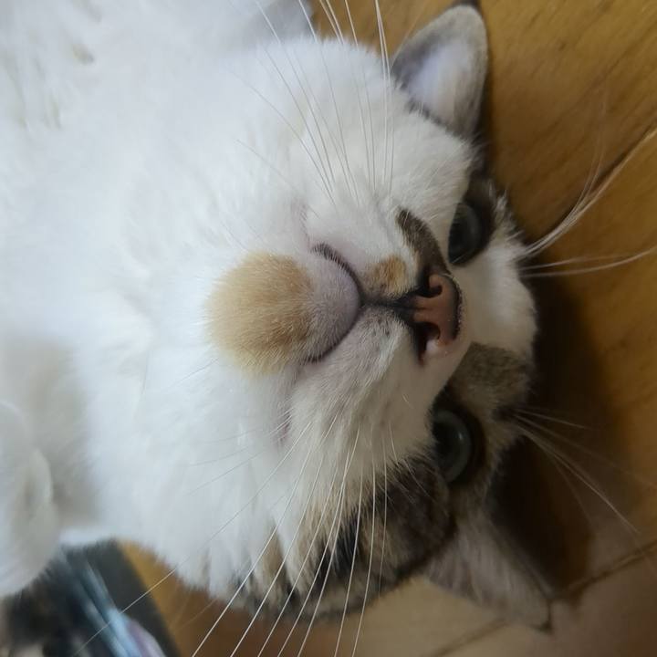 D20ecf0e 7474 48de 9c33 f1d722163c27 1758195408843