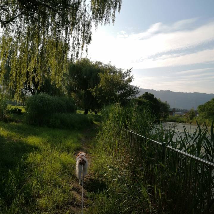 D20f004c da63 4d22 93e4 2d81f7a09818 1595203063748