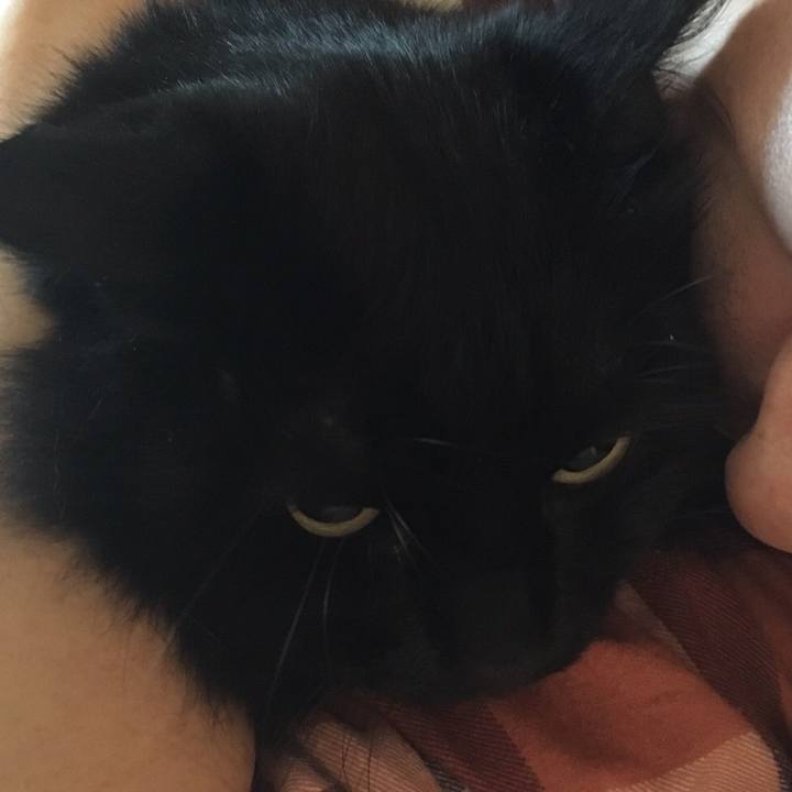 D20f02d0 fe7e 4b40 82dd 306cb4b81694 1512264121794