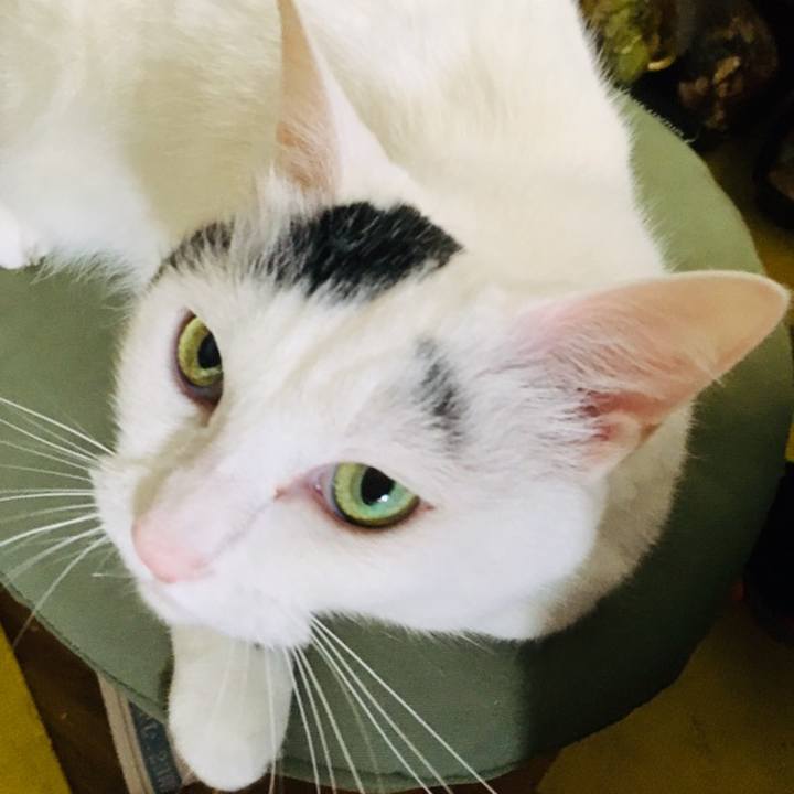 D20f030c 1846 4682 94f1 610c3a2c1aa7 1560221361916