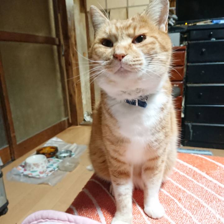 D20f059b 8b2d 4035 8697 8a87a306a56f 1608754436600