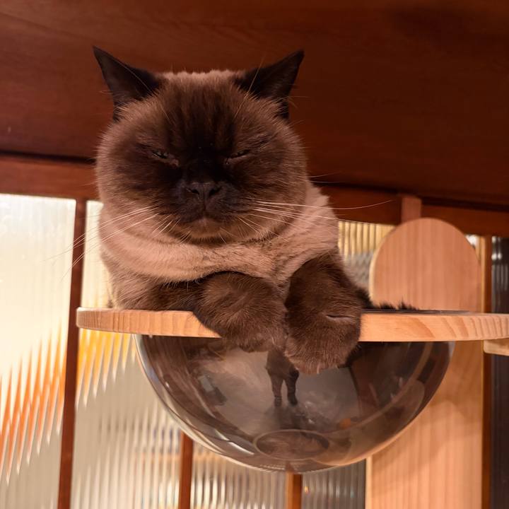 D20f668a e95e 4219 86e5 ded1c9f71276 1763289250279