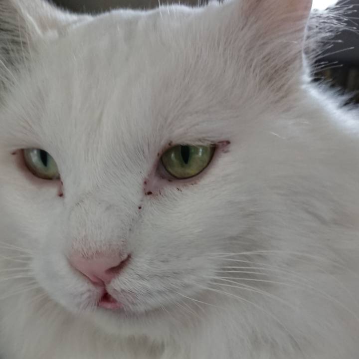 D20f94c3 d22f 4cd6 a8c3 36b07df8ac2d 1534544626880