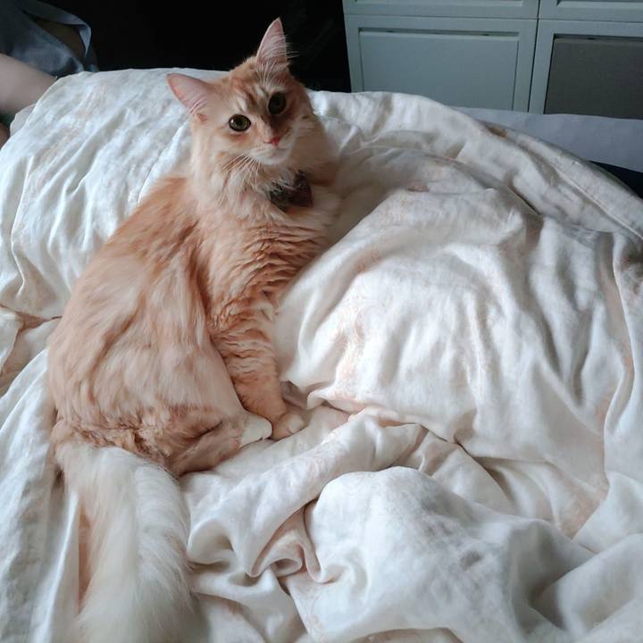 D20fa90f fcd0 40cc a334 ca5eebdce195 1661464157153