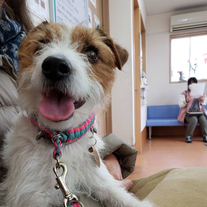 D20fb746 43a6 4086 9d45 f421a0fe78f2 1580009664831