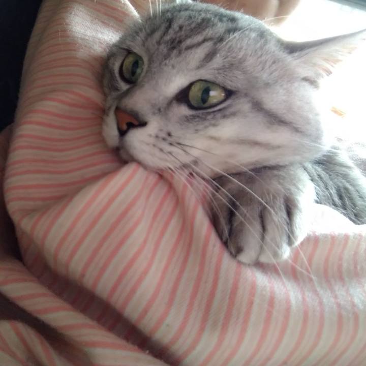 D20fcd7f 0657 448e af7f c655f9c5359b 1620189716176