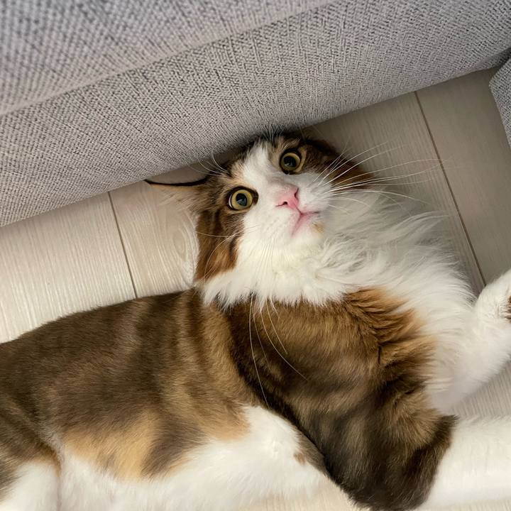 D20fe674 d7ac 4497 96d2 7ee8de3f0fcc 1661202651851