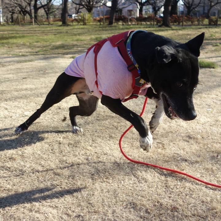 D20ff2b9 5809 4945 bbee 9bc021db45be 1676943039551